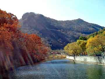 管家婆黑白马报图库，屋面 楼板 墙体裂缝